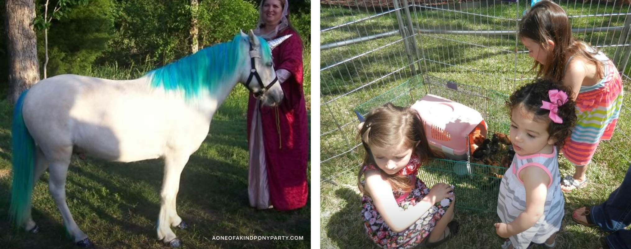 On left, a horse with blue hair wearing a unicorn horn. On right, kids in a petting zoo pen.